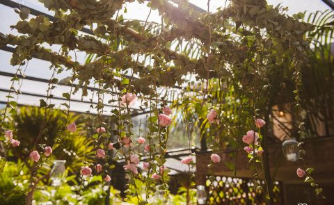 Imagem eu amo casamento | ana flávia & márcio
